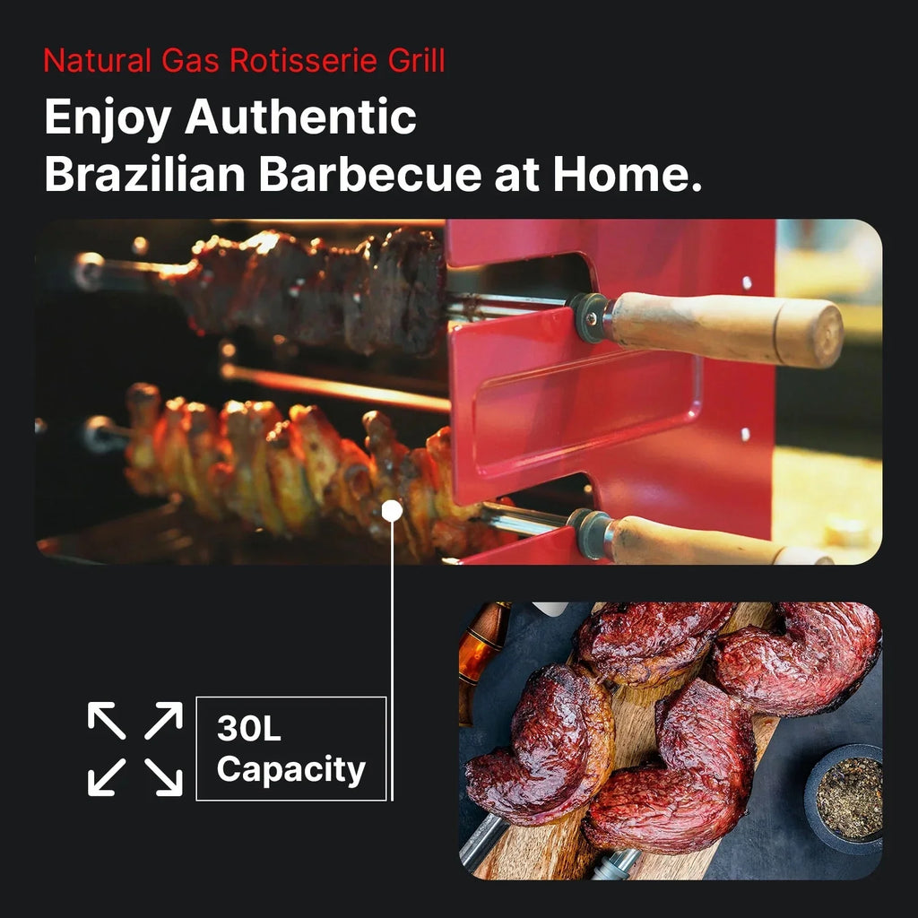 Rotisserie Gas Grill with 2 Skewers I696434