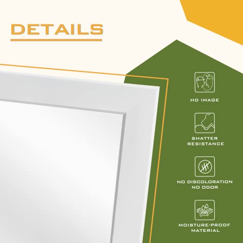 Over-the-Door Mirror, Full Length Hanging or Wall Mount, White, 43x16 I954