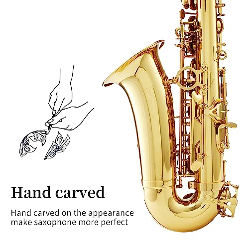 Alto Saxophone for Beginners with Carrying Case X5401