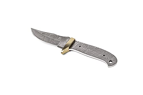 10 Inch Hand Forged Full Tang Knife Blank A20800