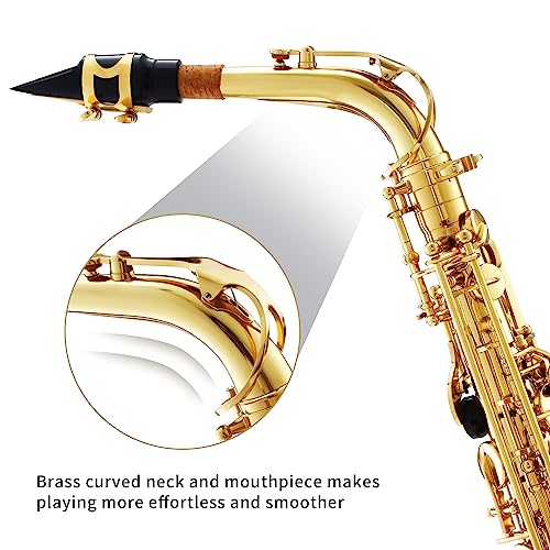 Alto Saxophone for Beginners with Carrying Case X5401