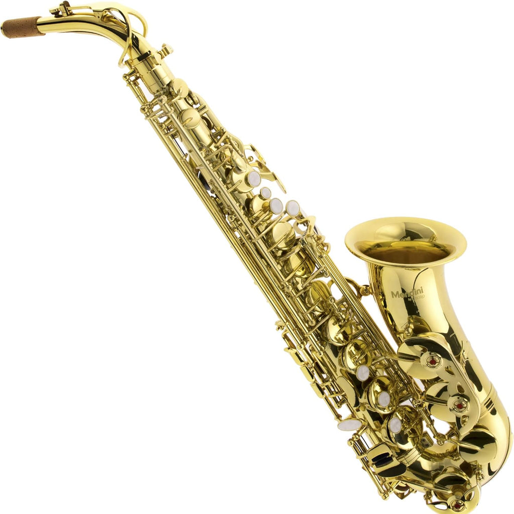 Alto Saxophone with Case, Mouthpiece, Stand, Reeds & Cloths C186730