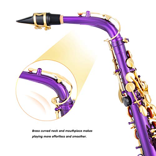 Alto Saxophone Full Kit for Students Beginner with Case and Accessories R27717
