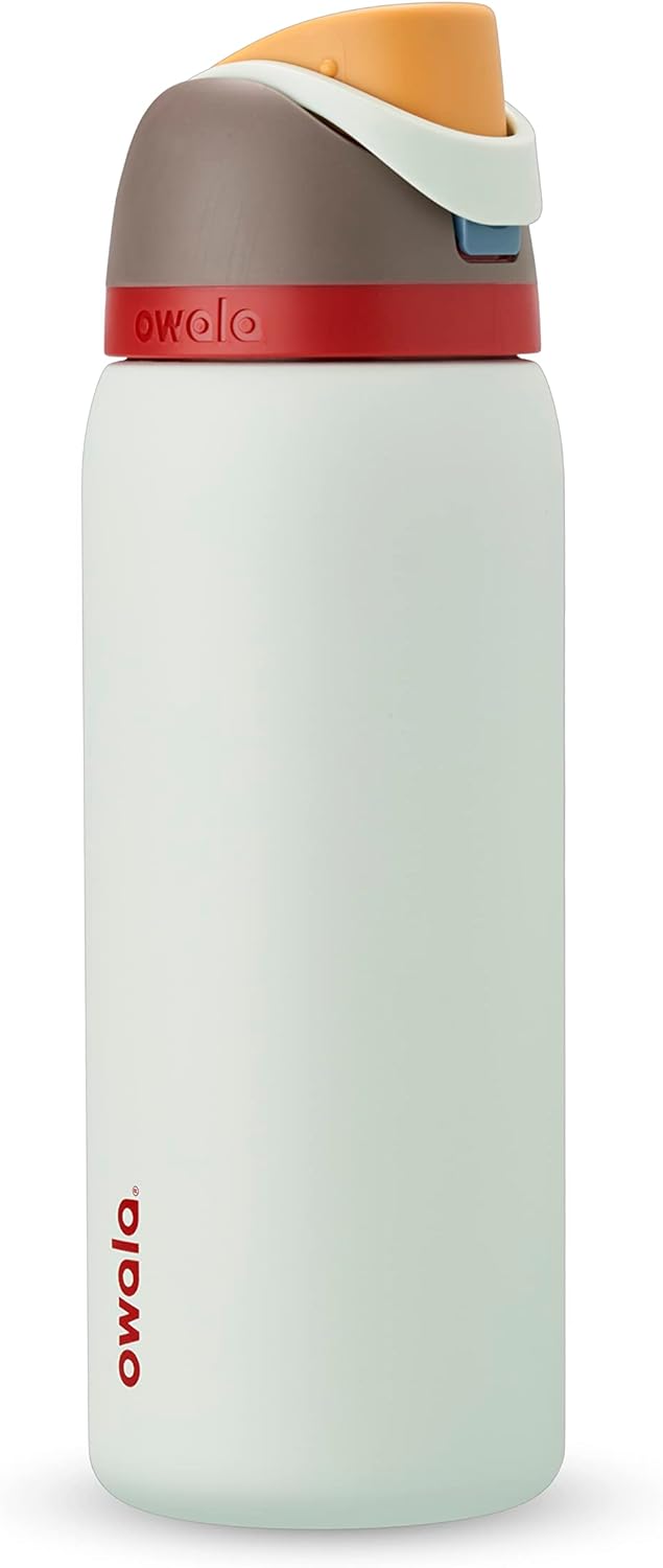 Insulated Stainless Steel Water Bottles with Straw, 32 oz, Set of 2 S974