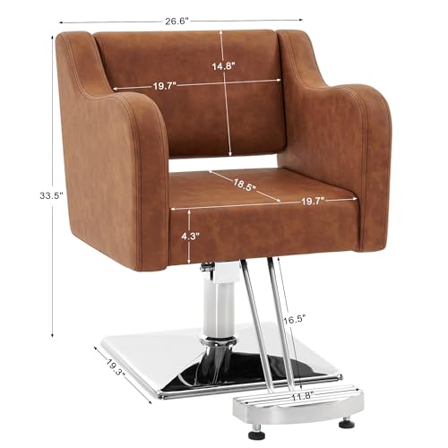 Hydraulic Salon Chair for Hair Stylist, Grey S9908