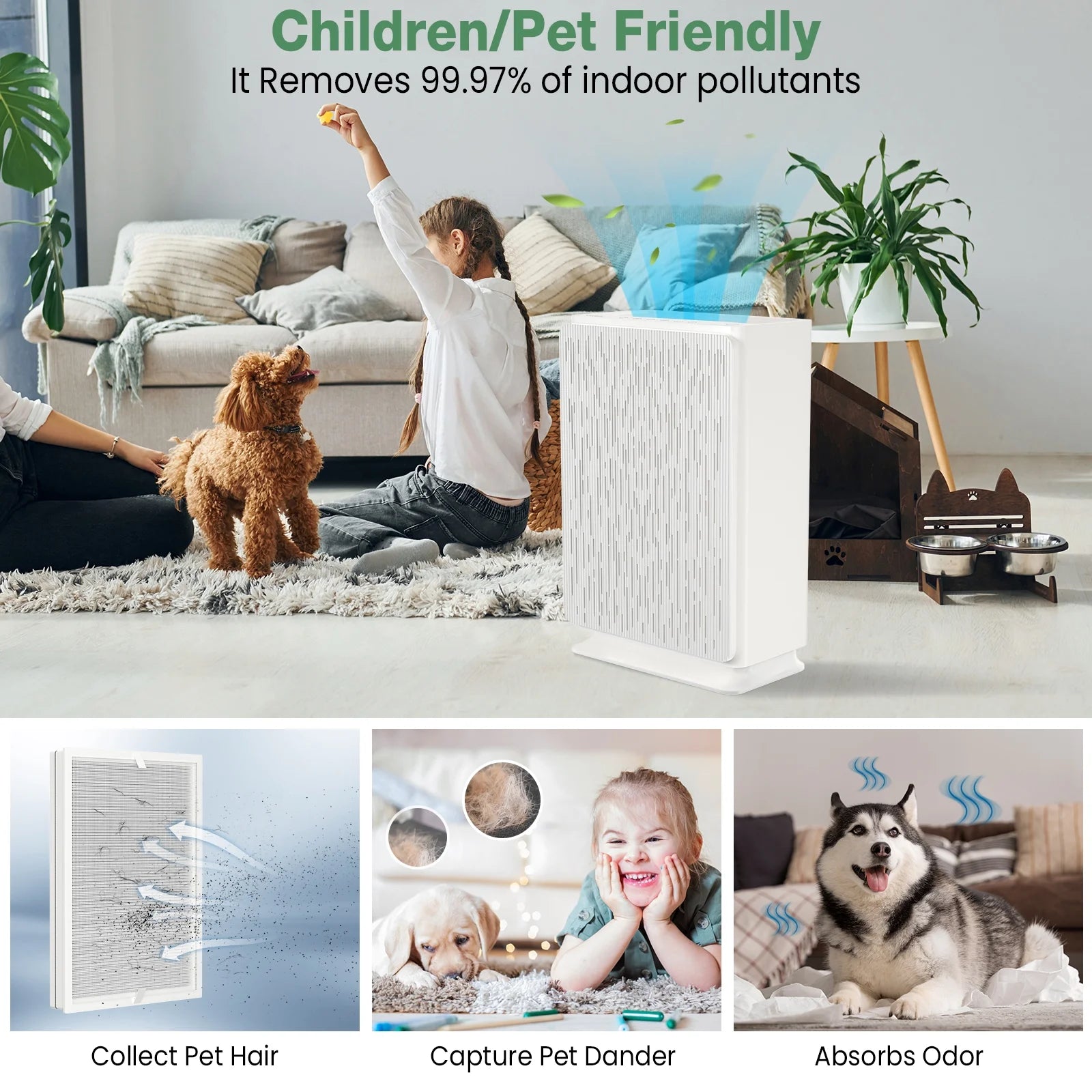 HEPA Air Purifier for Pets, Pollen, Dust, Smoke, Large Room Bedroom S304248