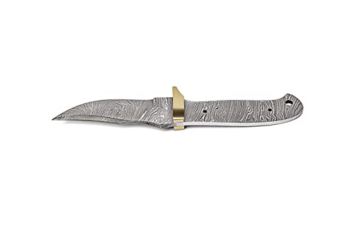 10 Inch Hand Forged Full Tang Knife Blank A20800