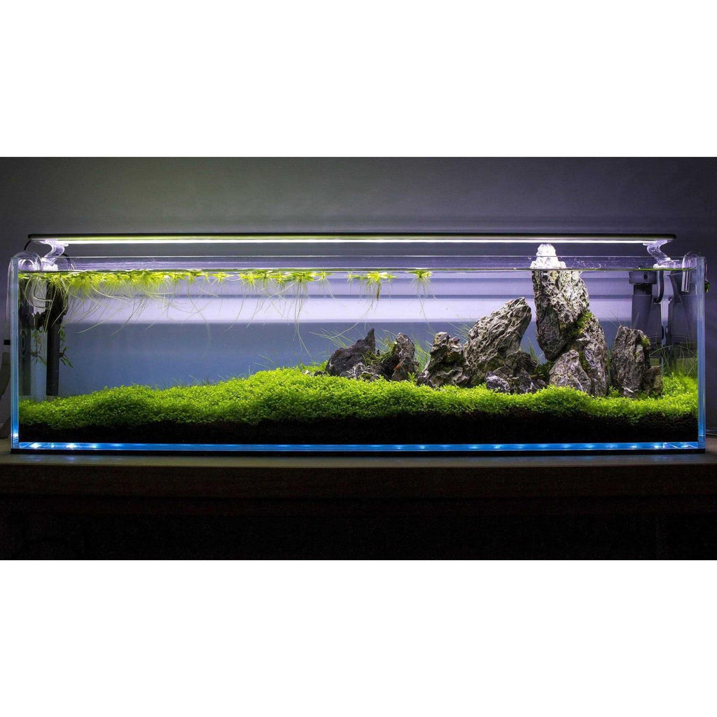 Bookshelf Style Aquarium Clear R63319