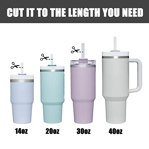 Stainless Steel Straws with Covers for 40 oz Tumbler, 12 inch, 8 Pack Y42921