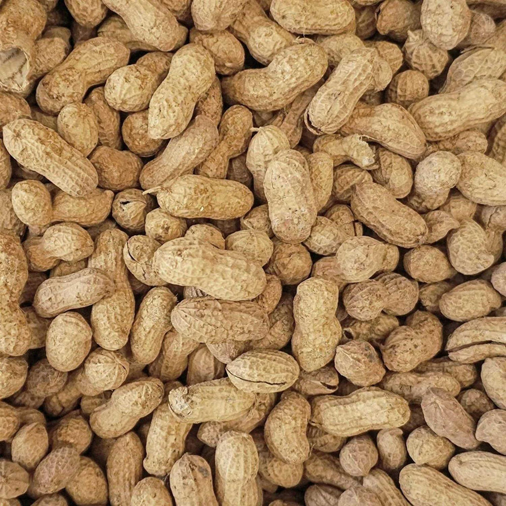 In-Shell Peanuts for Birds I105794