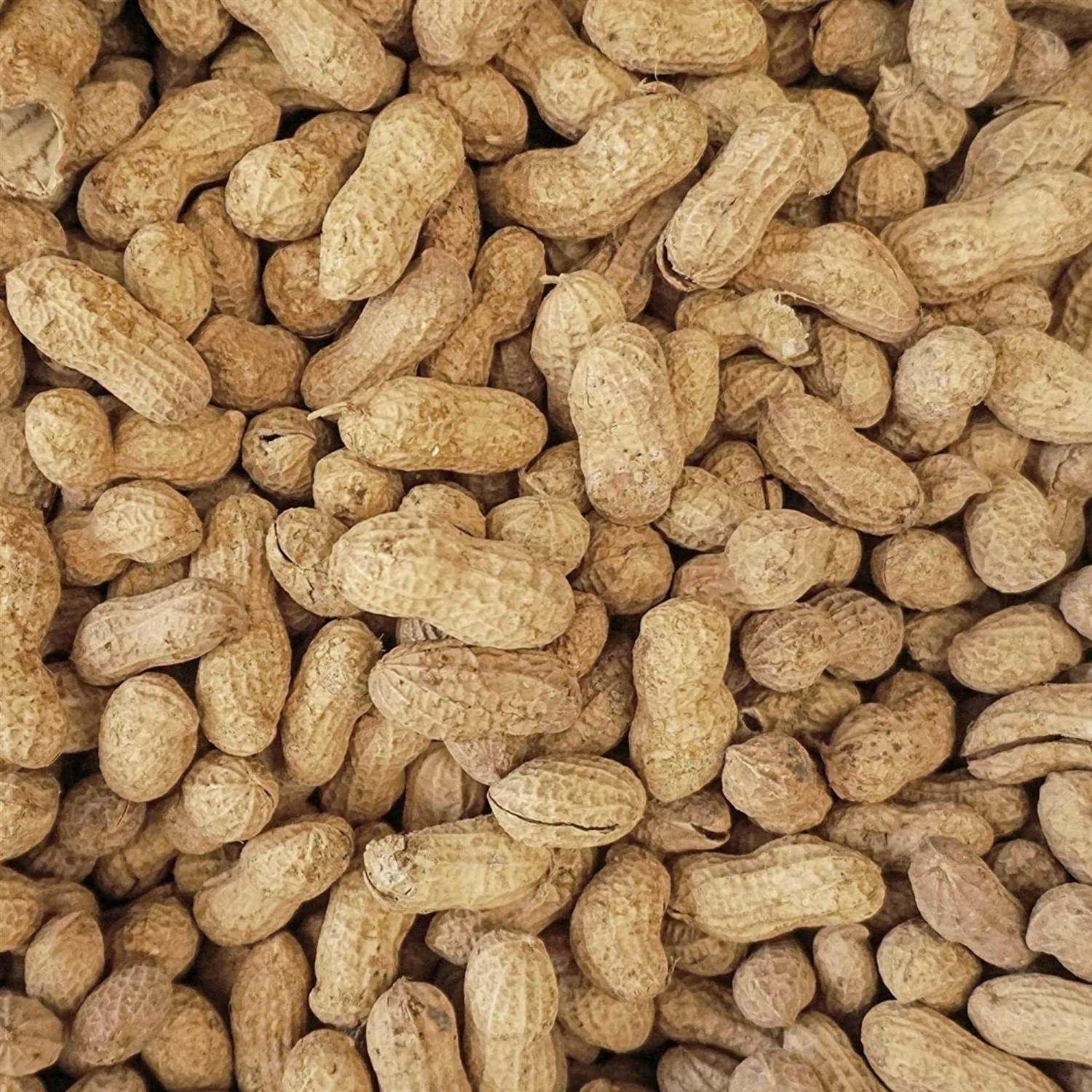 In-Shell Peanuts for Birds I105794
