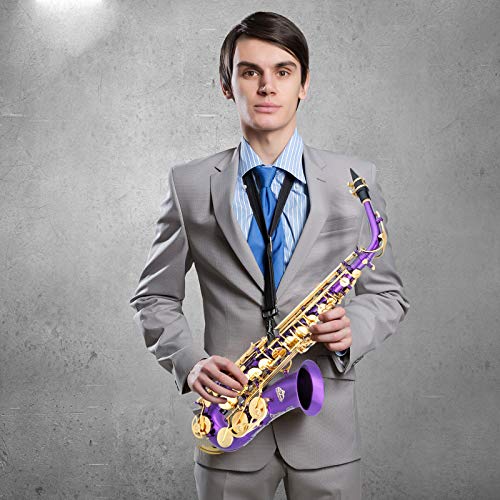 Alto Saxophone Full Kit for Students Beginner with Case and Accessories R27717