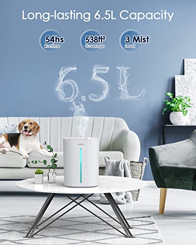 6.5L Cool Mist Humidifier for Large Rooms and Bedrooms K673