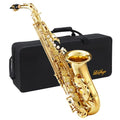 LeSage Alto Saxphone E Flat Black Saxophone for Beginners Student Alto Sax With Carrying Sax Case Adult Saxofon Alto Saxaphone Music Instrument