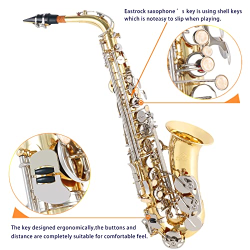Alto Saxophone E Flat Full Kit for Students Beginner with Case and Accessories U23200