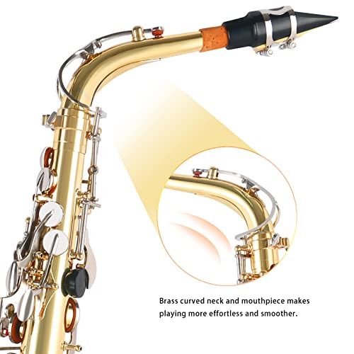Alto Saxophone E Flat Full Kit for Students Beginner with Case and Accessories U23200