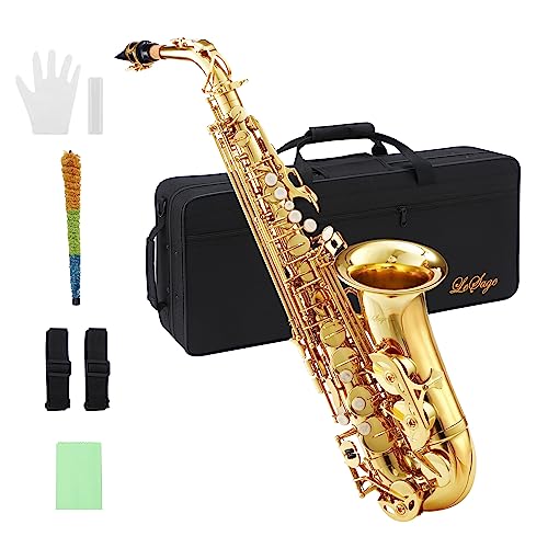 Alto Saxophone for Beginners with Carrying Case X5401