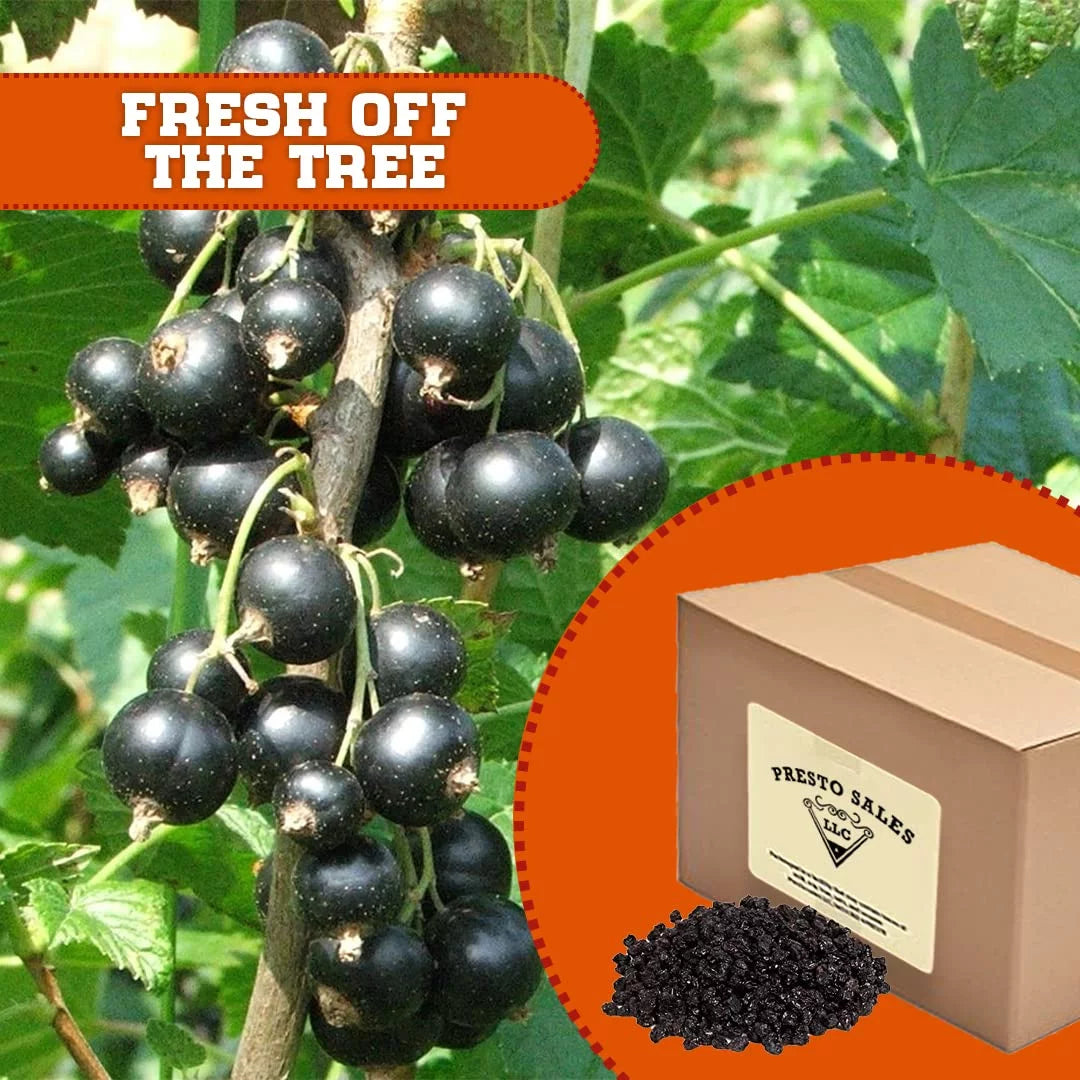 Dried Seedless Zante Currants, 10 lbs Bag H6969