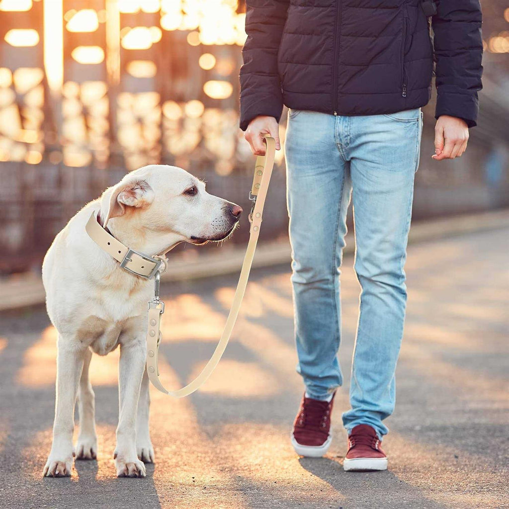 Waterproof Dog Leash with 2 Hooks for Walking, Adjustable Lengths V102