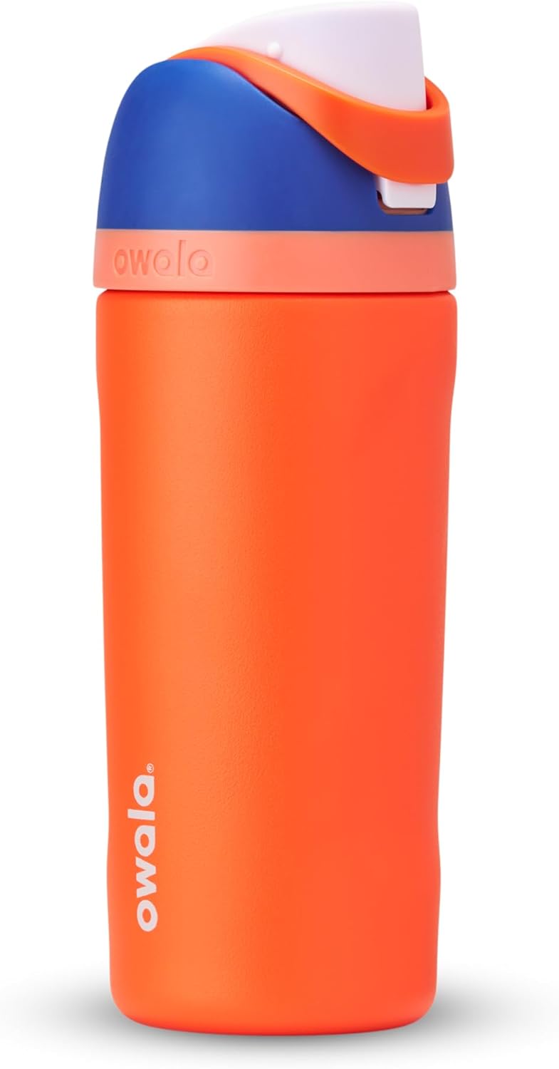 Kids Insulated Stainless Steel Water Bottle with Straw Lid, 16 oz D42864