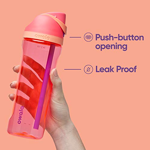 25 oz BPA-Free Tritan Plastic Water Bottle with Straw for Travel R7571