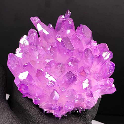 Phantom Quartz Crystal Cluster for Home Decor B84881