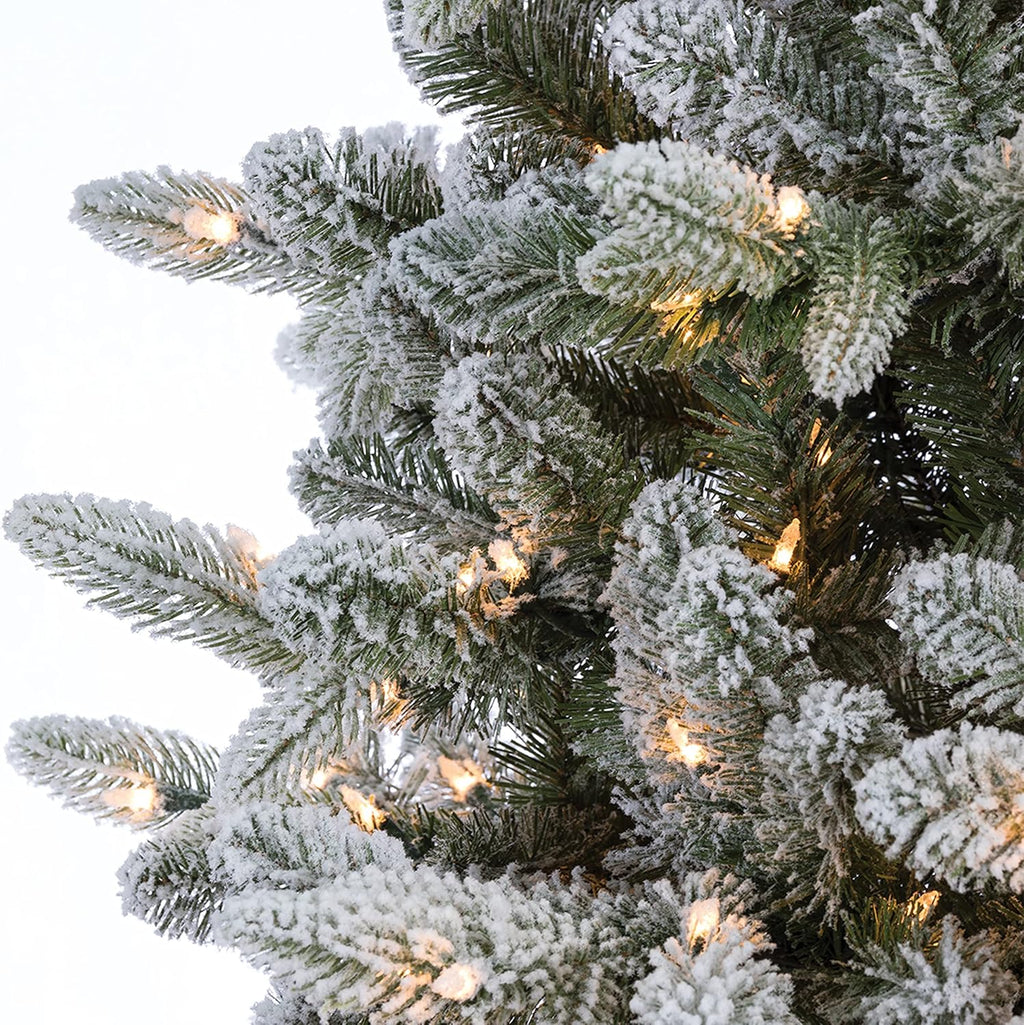 7.5-Foot Flocked Swiss Mountain Fir with 800 Clear Lights X5180