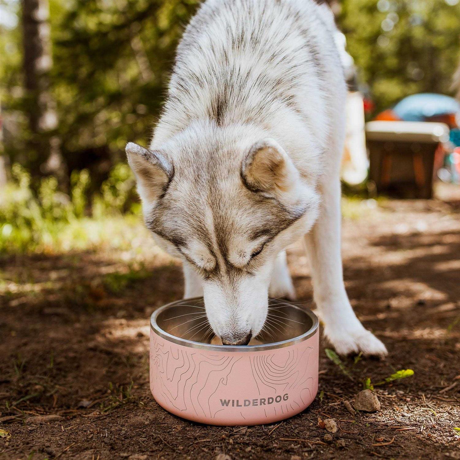 Stainless Steel Pet Bowl D422089