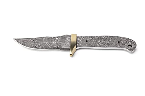 10 Inch Hand Forged Full Tang Knife Blank A20800