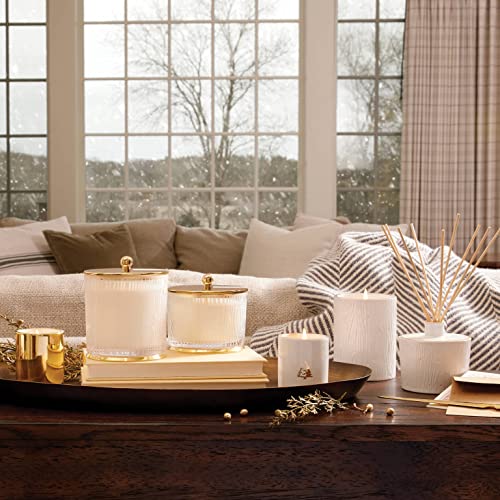 Frasier Fir Scented Candle - 9 oz J46960