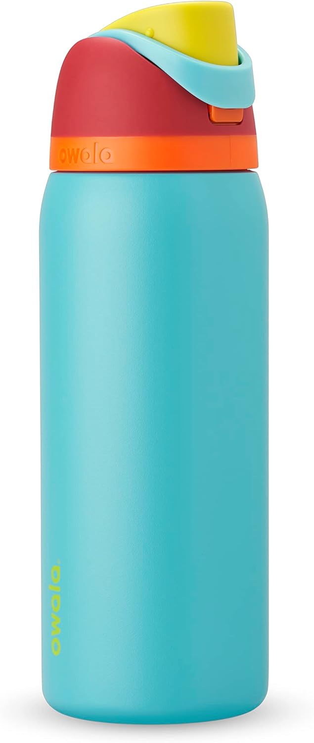 Insulated Stainless Steel Water Bottle with Straw, 32 oz F15480