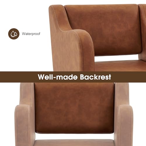 Hydraulic Salon Chair for Hair Stylist, Grey S9908