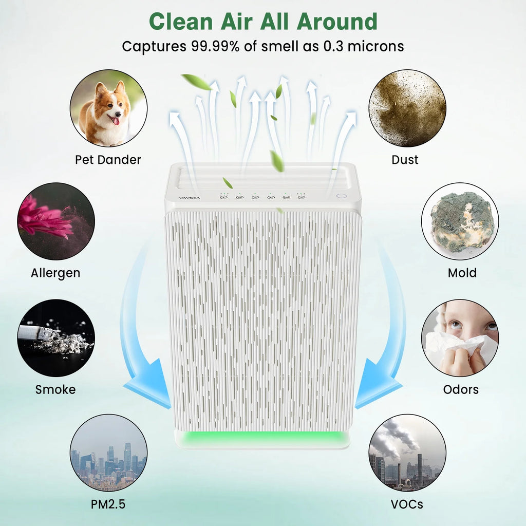 HEPA Air Purifier for Pets, Pollen, Dust, Smoke, Large Room Bedroom S304248