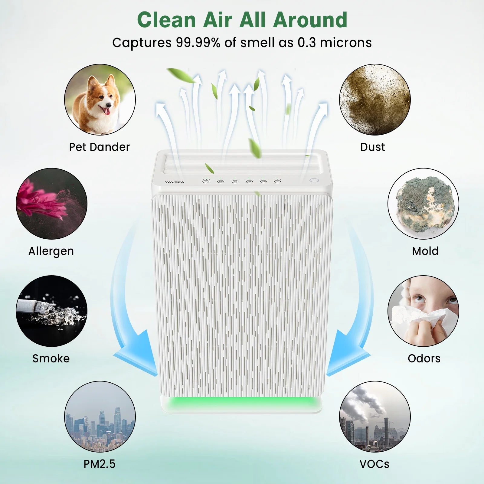 HEPA Air Purifier for Pets, Pollen, Dust, Smoke, Large Room Bedroom S304248